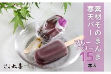 素材そのまんま寒天バー ブルーベリー 15本入 ｜ お菓子 スイーツ 寒天 和菓子 生菓子 ※2025年6月上旬～9月上旬頃に順次発送予定 ※北海道・沖縄・離島への配送不可