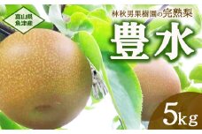 【早期予約】魚津：林秋男果樹園の完熟梨「豊水」5kg｜フルーツ なし 富山県魚津市　※北海道・沖縄・離島への配送不可　※2025年9月上旬頃より順次発送予定