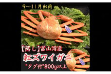 【9-11月出荷】蒸し紅ズワイガニ 1杯（約800g以上） ｜ 甲殻類 海の幸 海鮮 蒸し加工 水揚げ 後すぐ 旨味 凝縮 晩酌 お酒 お供 あて 肴 つまみ 富山県産 魚津市産 ※2025年9月下旬～11月下旬頃に順次発送予定 ※北海道・沖縄・離島への配送不可