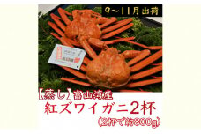 【9-11月出荷】蒸し紅ズワイガニ 2杯 ｜ 甲殻類 海の幸 海鮮 蒸し加工 水揚げ 後すぐ 旨味 凝縮 晩酌 お酒 お供 あて 肴 つまみ 富山県産 魚津市産 ※2025年9月下旬～11月下旬頃に順次発送予定 ※北海道・沖縄・離島への配送不可