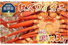 【特に訳あり】魚卸問屋のベニズワイガニ 約3kg｜ 魚介類 海の幸 海鮮 甲殻類 ボイル かに鍋 みそ汁 国産 富山県産 魚津市産 ※2025年9月下旬～2026年5月下旬頃に順次発送予定 ※北海道・沖縄・離島への配送不可