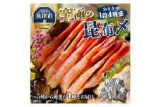 究極の昆布〆、お任せ1段4種盛（急速冷凍品）魚卸問屋はりたや 富山県魚津市 昆布締め こぶじめ 刺身 天然昆布 ※北海道・沖縄・離島への配送不可