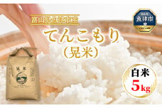 【令和7年度米】【先行予約】【農家直送】環境配慮「魚津のてんこもり（晃米）」5kg（白米） ｜新米 MK農産 白米 新米 銘柄米 ご飯 おにぎり お弁当 和食 主食 国産 産地直送 甘み 香り もちもち ※2025年10月中旬頃より順次発送予定 ※北海道・沖縄・離島への配送不可