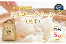 【令和7年度米】【先行予約】【農家直送】環境配慮「魚津のミルキークイーン（晃米）」5kg（白米） ｜新米 MK農産 白米 銘柄米 ブランド米 ご飯 おにぎり お弁当 和食 主食 国産 産地直送 甘み 香り もちもち ※2025年9月中旬頃より順次発送予定 ※北海道・沖縄・離島への配送不可
