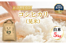 【令和7年度米】【先行予約】【農家直送】環境配慮「魚津のコシヒカリ（晃米）」5kg（白米） ｜新米 MK農産 白米 銘柄米 ブランド米 ご飯 おにぎり お弁当 和食 主食 国産 産地直送 甘み 香り もちもち ※2025年9月中旬頃より順次発送予定 ※北海道・沖縄・離島への配送不可