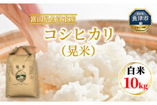 【令和7年度米】【先行予約】【農家直送】環境配慮「魚津のコシヒカリ（晃米）」10kg（白米） ｜新米 MK農産 白米 銘柄米 ブランド米 ご飯 おにぎり お弁当 和食 主食 国産 産地直送 甘み 香り もちもち ※2025年9月中旬頃より順次発送予定 ※北海道・沖縄・離島への配送不可