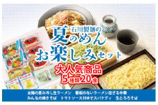 夏のめんお楽しみセット(5種類20食分) ｜ 焼きそば 中華ざる ラーメン 石川製麺 麺類 麺セット 夏 夏休み ランチ お昼ご飯 夕飯 冷し生ラーメン コシ 細ちぢれ麺 冷やし中華 ゆでスパゲティ 冷し麺 ※北海道・沖縄・離島への配送不可 ◇