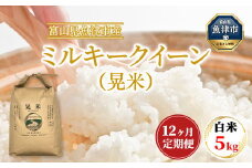 【12ヶ月定期便】【令和6年度米】「魚津のミルキークイーン（晃米）」5kg（白米） ｜新米 環境配慮 MK農産 お米 ブランド米 銘柄米 精米 ご飯 おにぎり 産地直送 甘み 粘り もちもち ※2024年10月下旬頃より順次発送予定 ※北海道・沖縄・離島への配送不可