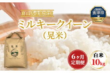 【6ヶ月定期便】【令和6年度米】「魚津のミルキークイーン（晃米）」10kg（白米） ｜新米 環境配慮 MK農産 お米 ブランド米 銘柄米 精米 ご飯 おにぎり 産地直送 甘み 粘り もちもち ※2024年10月下旬頃より順次発送予定 ※北海道・沖縄・離島への配送不可