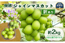 訳あり シャインマスカット 約2kg ｜ 樹熟 粒 約14パック 富山県産 マスカット ぶどう ブドウ 葡萄 ※北海道・沖縄・離島への配送不可 ※2025年10月上旬～12月下旬頃に順次発送予定