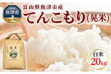 【令和7年度米】【先行予約】【農家直送】環境配慮「魚津のてんこもり（晃米）」20kg（白米） ｜新米 MK農産 白米 銘柄米 ご飯 おにぎり お弁当 和食 主食 国産 産地直送 甘み 香り もちもち ※2025年10月中旬頃より順次発送予定 ※北海道・沖縄・離島への配送不可