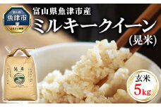 【令和6年度米】環境配慮「魚津のミルキークイーン（晃米）」5kg（玄米） ｜ MK農産 玄米 銘柄米 ブランド米 ご飯 おにぎり お弁当 和食 主食 国産 産地直送 甘み 香り もちもち ※2024年10月下旬頃より順次発送予定 ※北海道・沖縄・離島への配送不可