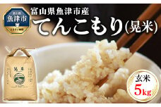 【令和7年度米】【先行予約】【農家直送】環境配慮「魚津のてんこもり（晃米）」5kg（玄米） ｜新米 MK農産 玄米 銘柄米 ご飯 おにぎり お弁当 和食 主食 国産 産地直送 甘み 香り もちもち ※2025年10月中旬頃より順次発送予定 ※北海道・沖縄・離島への配送不可