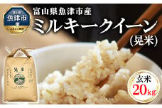 【令和6年度米】環境配慮「魚津のミルキークイーン（晃米）」20kg（玄米） ｜新米 MK農産 玄米 銘柄米 ブランド米 ご飯 おにぎり お弁当 和食 主食 国産 産地直送 甘み 香り もちもち ※2024年10月下旬頃より順次発送予定 ※北海道・沖縄・離島への配送不可