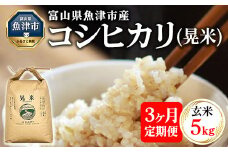 【3ヶ月定期便】【令和7年度米】【先行予約】【農家直送】環境配慮「魚津のコシヒカリ（晃米）」5kg（玄米） ｜新米 環境配慮 MK農産 お米 ブランド米 銘柄米 玄米 ご飯 おにぎり 産地直送 甘み 旨味 香り ※2025年9月中旬頃より順次発送予定 ※北海道・沖縄・離島への配送不可