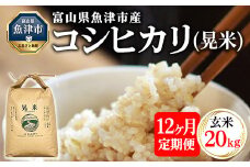 【12ヶ月定期便】【令和7年度米】【先行予約】【農家直送】環境配慮「魚津のコシヒカリ（晃米）」20kg（玄米） ｜新米 環境配慮 MK農産 お米 ブランド米 銘柄米 玄米 ご飯 おにぎり 産地直送 甘み 旨味 香り ※2025年9月中旬頃より順次発送予定 ※北海道・沖縄・離島への配送不可