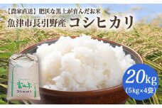 【早期予約】令和7年度産 肥沃な黒土で育ったお米 魚津市長引野産 こしひかり 20kg（5kg×4） ※北海道・沖縄・離島への配送不可 ※2025年10月上旬～12月下旬頃に順次発送予定