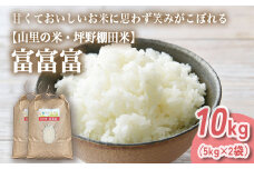 山の湧き水 寒暖差 山里 山里の米･坪野米 R7年産 富富富 10kg（5kg×2） ｜ふふふ 新米 こめ コメ お米 おこめ 白米 精米 香り うまみ あまみ  自慢 高品質 富山 魚津　※北海道・沖縄・離島への配送不可　※2025年10月上旬～10月中旬頃に順次発送予定