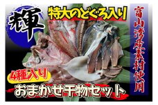高級干物セット「輝」 のどぐろ 縞ほっけ等5種 富山湾産地｜魚貝類 魚介類 海鮮 干物セット 高級干物 干物 詰め合わせ 冷凍 海鮮 グルメ お取り寄せ 魚 詰合せ 朝食 おかず セット 北陸 富山県 富山湾 魚津市 送料無料