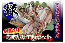 富山湾産おまかせ干物セット「禄」｜富山 干物セット 干物 詰め合わせ 冷凍 新鮮 海鮮 グルメ お取り寄せ 魚 魚貝類 魚介類 海鮮 詰合せ 朝食 おかず セット 国産 北陸 富山県 富山湾 魚津市 送料無料