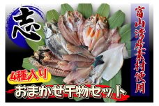 富山湾産おまかせ干物セット「志」｜富山 干物セット 干物 詰め合わせ 冷凍 新鮮 海鮮 お取り寄せ 魚 魚貝類 魚介類 詰合せ 朝食 おかず セット 国産 北陸 富山県 富山湾 魚津市 送料無料