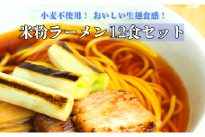 グルテンフリー　富山県産米粉　アレンジ　もちもち「米粉ラーメン12食セット」※北海道・沖縄・離島への配送不可