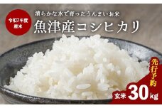 【先行予約】【R7年度産米】収穫後すぐにお届け 富山県魚津市 布施の里コシヒカリ玄米30kg ※北海道・沖縄・離島への配送不可　※2025年9月下旬頃より順次発送予定