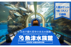 魚津水族館 入館チケット1枚引換券/一般(高校生以上)※北海道・沖縄・離島への配送不可