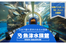魚津水族館 入館年間パスポート引換券/一般(高校生以上)※北海道・沖縄・離島への配送不可