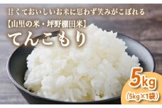 山の湧き水 寒暖差 山里 山里の米･坪野棚田米 R7年産 てんこもり5kg ※北海道・沖縄・離島への配送不可　※2025年10月中旬～2026年9月中旬頃に順次発送予定