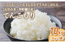 山の湧き水 寒暖差 山里 山里の米･坪野棚田米 R7年産 てんこもり10kg（5kg×2）※北海道・沖縄・離島への配送不可　※2025年10月中旬～2026年9月中旬頃に順次発送予定