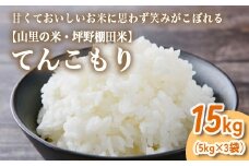 山の湧き水 寒暖差 山里 山里の米･坪野棚田米 R7年産 てんこもり15kg（5kg×3） ※北海道・沖縄・離島への配送不可　※2025年10月中旬～2026年9月中旬頃に順次発送予定
