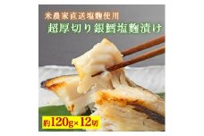 超厚切り銀鱈塩麹漬 12切入 ※北海道・青森・九州・沖縄・離島への配送不可
