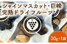完熟ドライグレープMIX1袋（シャインマスカット＆巨峰）｜果物詰合せ・フルーツ・加工食品・シャインマスカット・巨峰・ドライフルーツ ※北海道・沖縄・離島への配送不可