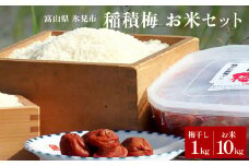 梅干し お米（10kg）付き！　｜ 富山県固有種 稲積梅 添加物不使用 手作り  