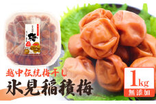 越中伝統梅干し 氷見稲積梅 1kg （塩分約12%）｜富山県固有種 稲積梅 添加物不使用 手作り  