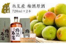 氷見稲積梅酒 原酒 2本セット（720ml×2本） ｜添加物不使用 富山県固有種 稲積梅使用