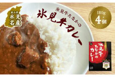 氷見牛たなかのカレー　180g×4個セット 