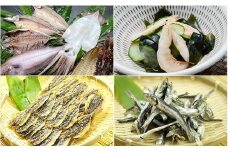 氷見伝統定置網でとれた干物味わいセット　【魚貝類・干物】