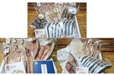 年間3回定期便！職人手作り地魚一夜干と季節の味(氷見ぶり、ホタルイカ、味醂干）詰め合わせ 干物セット 国産 富山 氷見漁港 産地 冷凍 ぶり ほたるいか