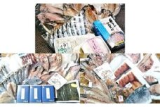 年間3回定期便！人気の『ホタルイカ』『白えび』『氷見ぶり』&職人手捌き一夜干が旬に合わせてたっぷりと　【定期便・魚貝類・干物・海老・エビ】