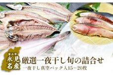 氷見産厳選一夜干し旬の詰合せ　| 干物 産地直送 一夜干し 干物セット 国産 富山 詰め合わせ 小分け 旬 新鮮 おつまみ おかず 簡単調理 焼魚 冷凍