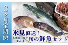 【定期便（３ヶ月）】天然のいけす 富山湾 氷見漁港直送！ 旬の鮮魚セット 〈配送地域限定〉