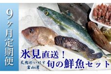 【定期便（９ヶ月）】天然のいけす 富山湾 氷見漁港 旬の鮮魚セット 〈配送地域限定〉