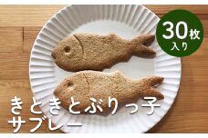 きときとぶりっ子サブレ 30枚入り  | 富山 氷見 ブリ サブレ クッキー お菓子 焼き菓子 スイーツ ギフト 小袋 おやつ