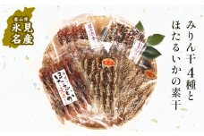【氷見堀与】 氷見名産 みりん干4種とほたるいかの素干し