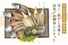 〈富山県氷見産〉 無添加！旨い一夜干し「かます」「サバ」「こずくら」３種と氷見産昆布〆お刺身入りセット！ 