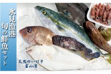 天然のいけす 富山湾 氷見漁港 旬の鮮魚セット 〈配送地域限定〉