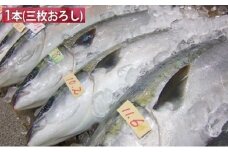 ひみ寒ぶり 1本プラン 【三枚おろし】 ※配送エリア限定 