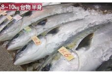 ひみ寒ぶり半身プラン ※配送エリア限定